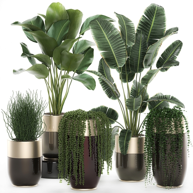 现代芭蕉绿植盆栽3D模型